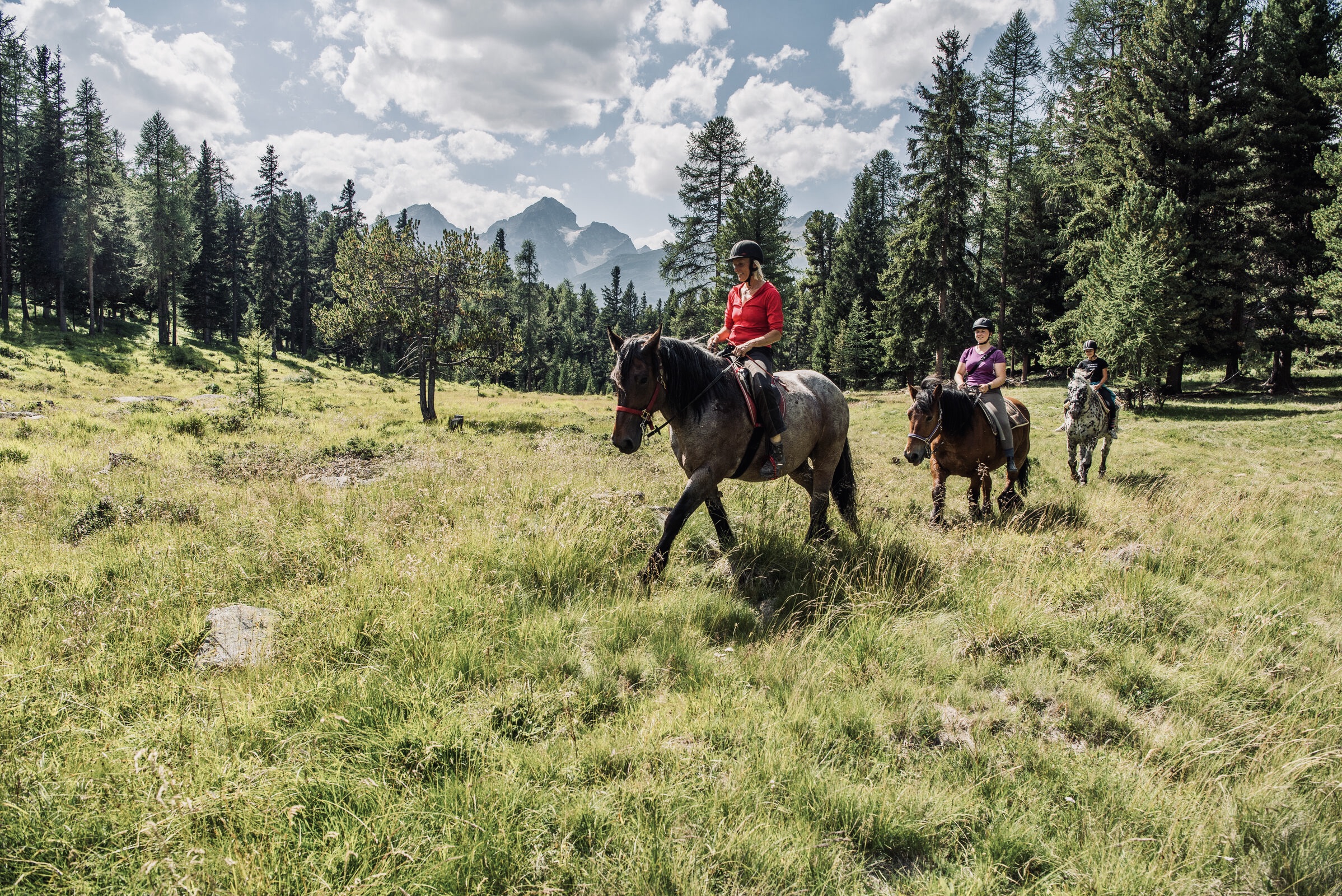 Horseback Riding