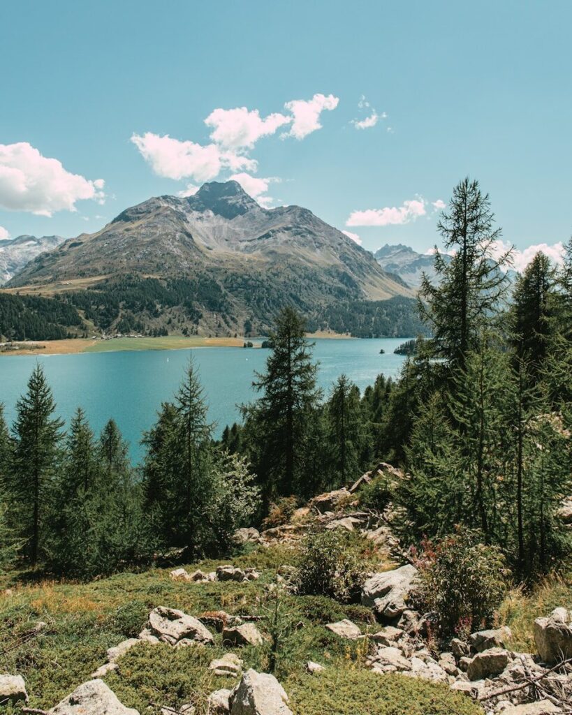 un lago circondato da alberi e montagne