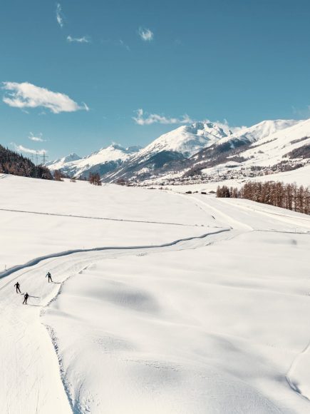 Cross-country Skiing