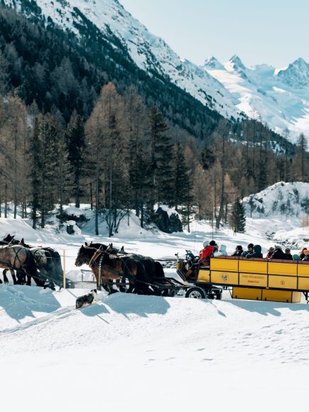Horse Carriage Tour