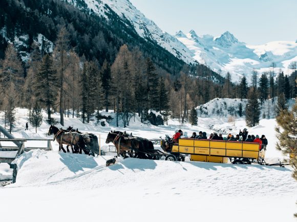 Horse Carriage Tour