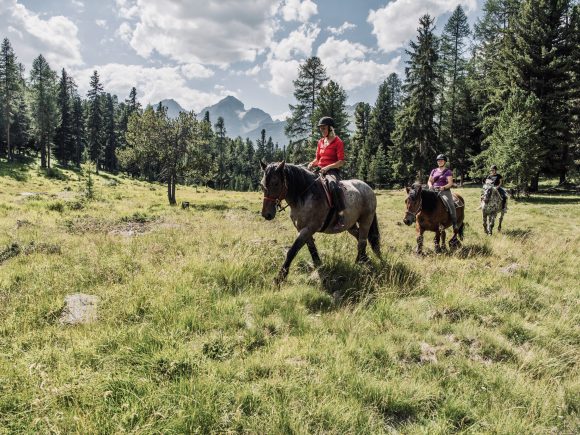 Horseback Riding