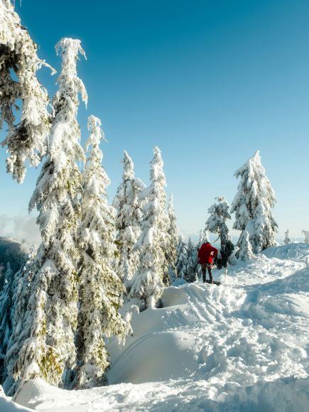Snowshoeing
