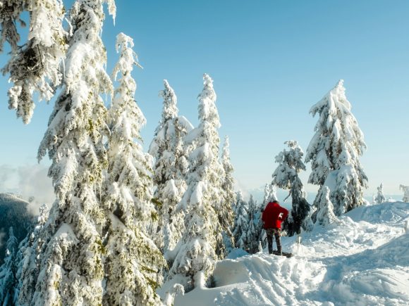 Snowshoeing